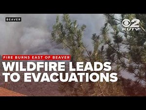 People in HiLo area urged to evacuate as wildfire burns east of Beaver