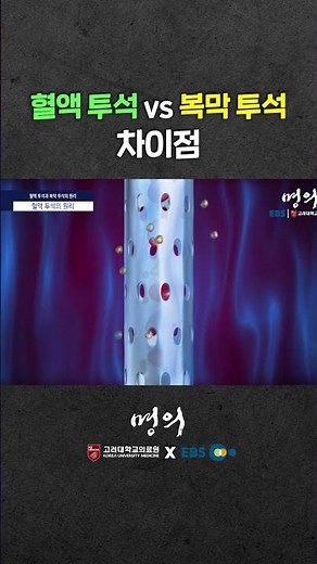 피를 깨끗하게 걸러낸다🩸 투석의 원리