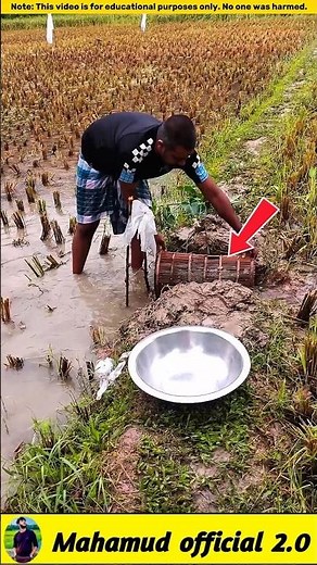 What fish did the man catch in the drizzle? 🐟#viralvideo #facts #fishinggear #fishinglife #fish