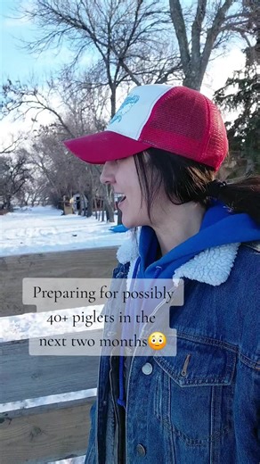 Preparing for 40 Piglets on the Farm