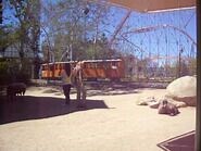 Animal Farm petting zoo at Six Flags Magic Mountain 2009-03-28
