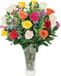Aquarossa Farms – Flowers for Delivery, Fresh Flowers Bouquet, Handpicked from the Farm, Gift for Birthday, Anniversary, or Just Because – 24 Fresh Roses