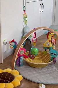 Not quite 8 weeks and puppy pad trained to a small mat. Support the breeders who are able to give them 100% when raising them. 🤓 | Biggiwigs Pekingese