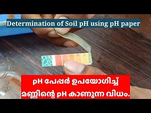 Determination of soil pH using pH paper