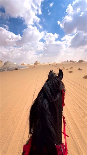 11K views · 10K reactions | The *White Desert National Park* in...