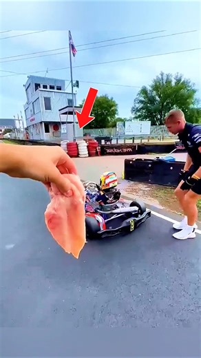 you won't believe chicken on car exhaust 🤯😯