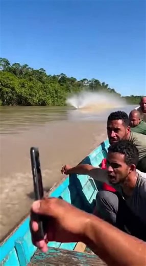 Discover the World of Fast Fish