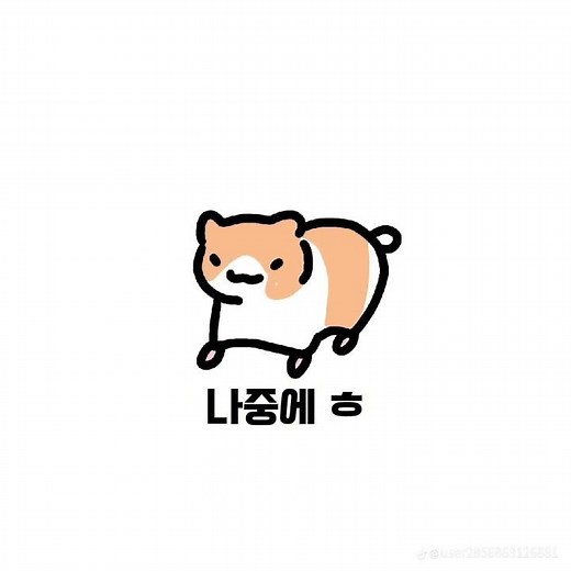 첫 영상