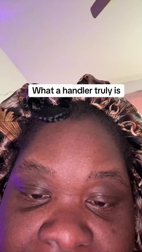 What is a Handler? Debunking the Mystery