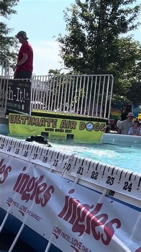 COMPETITION ULTIMATE AIR DOGS.СОРЕВНОВАНИЕ СОБАЧЕК.2 .EASLEY. SC.