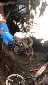 383K views · 5.7K reactions | Clogged Back water valve. #plumbing #plumber #CloggedDrain #roots #serviceplumbing #plumbingservices #sewerline #PVC #repair #fix #draincleaning #diy #BackwaterValve #crazy #toilet #service #customerservice #worldplumbers #plumbinglife #plumberslife #dirtyhandscleanmoney #fyp #fypシ゚ #fypシ゚viral #explorepage | The Plumbing Jedi | Facebook