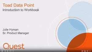 What is Toad Data Point Workbook?