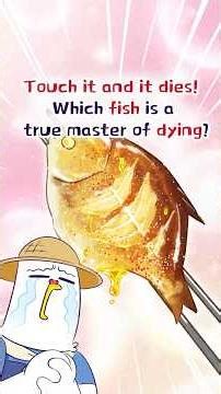 🐟Touch it and it dies! Which fish is a true master of dying?