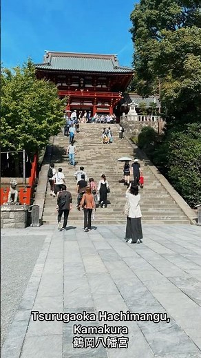 Tsurugaoka Hachimangu Shrine (鶴岡八幡宮) 🇯🇵⛩️
