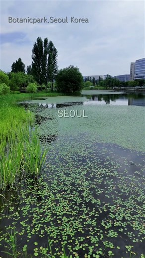 서울의 센트럴파크 서울의 허파 서울식물원 ( botanicpark Seoul Korea )