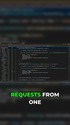 One Rate Limit Size Doesn't Fit All #coding #shorts