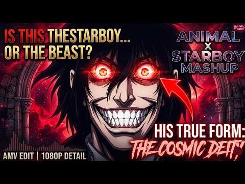 Animal X Starboy || AMV EDIT