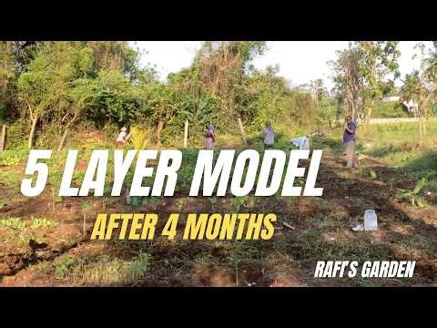 5 LAYER MODEL AFTER 4 MONTHS #gardening #naturalfarming
