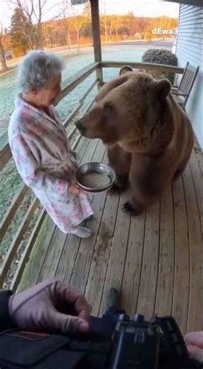 Grandma Casually Feeds Wild Bear Breakfast #short #Funnyvideos