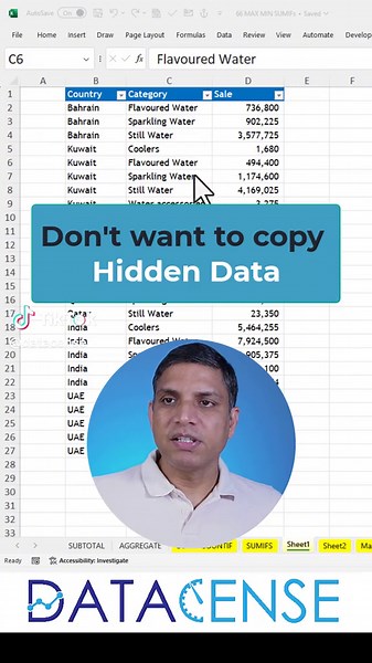 Cómo copiar solo celdas visibles en Excel 365