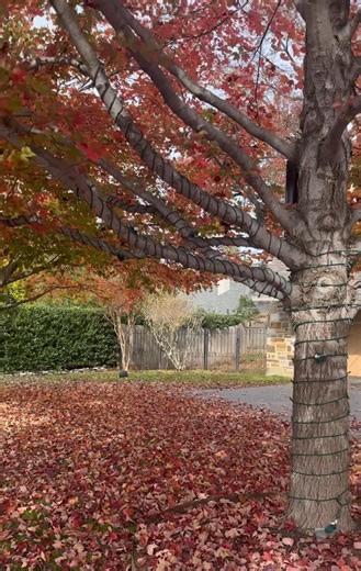 20 Years, 20 Lessons: Lesson 14: We Do Not Own People In this business, nothing stings quite like pouring your heart into sharing a product… only to watch your friend enroll with someone else. Or watching a team member you’ve invested in suddenly switch to another company. It’s frustrating. It’s disappointing. And if we’re honest… it can feel personal. We replay the conversations, we question loyalty, and we let offense creep in. Because it feels like something was taken from us. But here’s the 