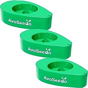 Bowl Grown Your Own Avocado Tree, Evergreen, Perfect Avocado Tree Growing Kit for Every Avocado Lover - 3 Pack (All Green)