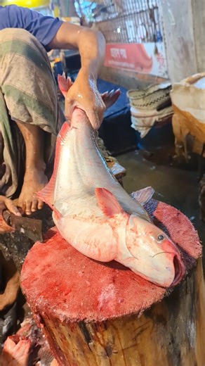 Amazing Cutting Skills | Big Sea Pangas Fish Cuttin‌‌।g Live in Fish2#fishcutting Market