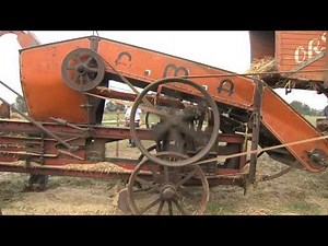 Once upon a time there was threshing (Moglia, 13/07/2014)