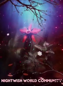 Nightwish - Amaranth 🌺 | Nightwish World Community