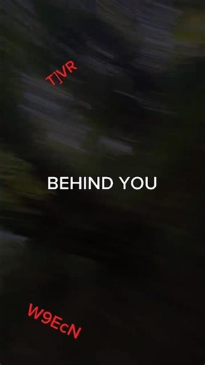 found this in the depths of my camera roll- Roblox bear reference??? 🥹