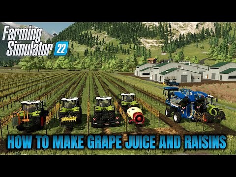 TUTORIAL How to make Grape Juice and Raisins | Farming Simulator 22