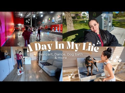 Bev cart, Dance, Dog Grooming & More | A Real Busy Day