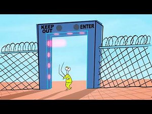 Biosecurity Basics - Overview