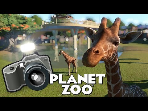 10 Tips & Tricks for Taking Screenshots in Planet Zoo