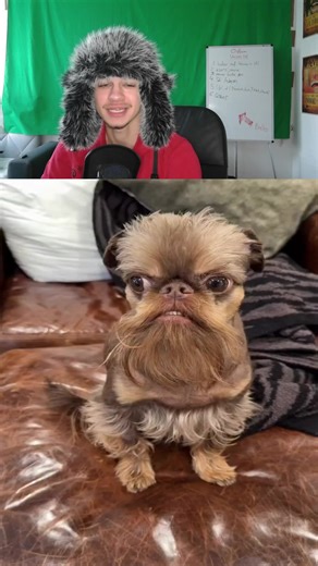 Top Deutsch Memes Compilation