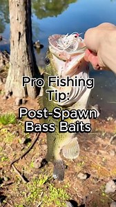 The best bass baits for post spawn bass fishing #fishingtips #fishing #postspawn #bassfishing #angler | Jarann Adventures