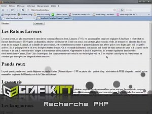 Tutoriel vidéo : Recherche PHP