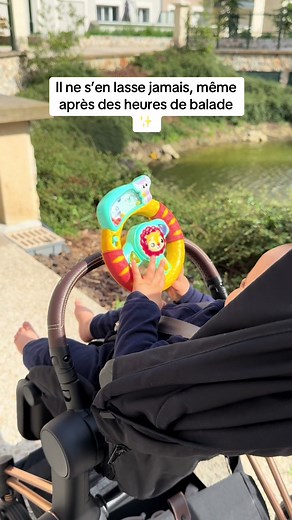 Volant VTech Toys : Indispensable pour les balades