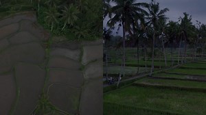 Top 10 Dream Wedding Destinations