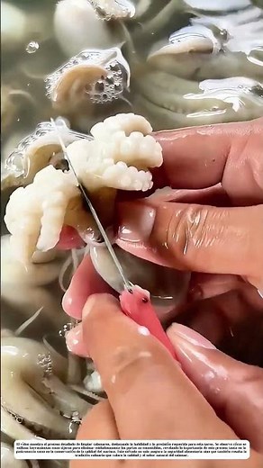 "El arte de limpiar calamares: Cómo la precisión transforma el marisco en delicia"