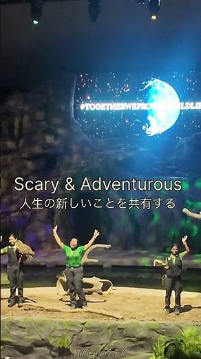 Adventurous Night Safari Experience in Singapore 🇸🇬 #singapore #nightsafari #scary #adventure