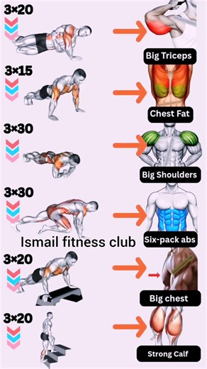 6 Best Bodyweight Exercises to Build Muscle 💪 | Home Workout #shorts #fitness #homeworkout #ytshorts