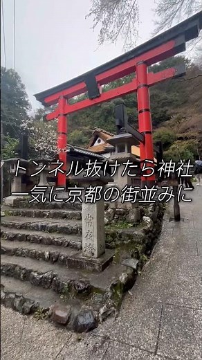 【穴場】京都なのに混雑しない観光地教えよう#shorts 【嵐山】【一人旅】【旅vlog】
