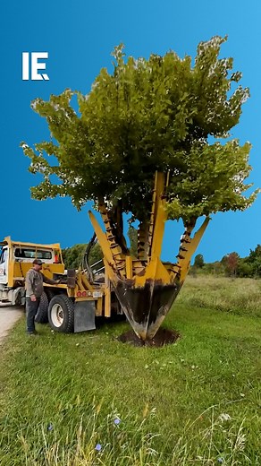 146K views · 784 reactions | This machine makes replanting an entire tree safe and easy. : foxtreefarm / IG | Crafty Engineer | Facebook