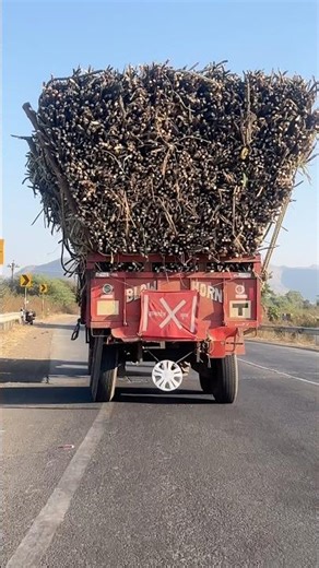 Arjun Tractor with heavy loaded sugarcane Trailer NAD LAY BEKAR #funny #jcb #shorts #shortsfeed