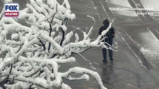 Watch: Snow blankets Boulder, Colorado