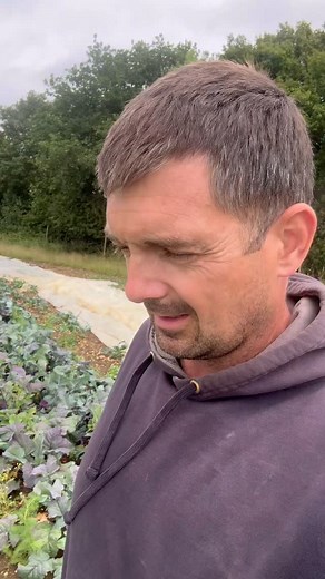 214 reactions | Getting the right quantity, at exactly the right time...