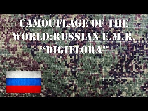 Camouflage of the World: Russian EMR or "DigiFlora" Summer Camo Pattern.