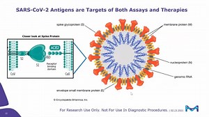 Development of Ultrasensitive Immunoassays for SARS-CoV-2 Antibody Detection