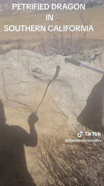 # DRAGON # SOUTHERN CALIFORNIA # PHENOMENON | dragon